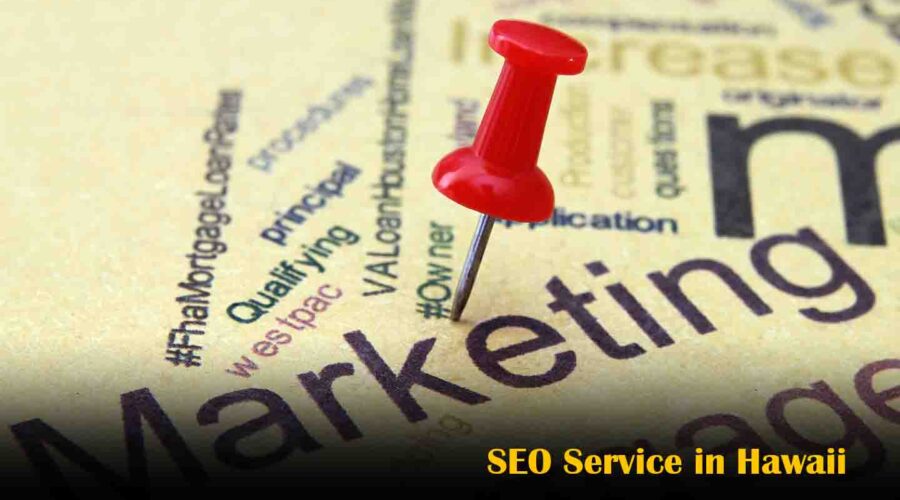 SEO Service in Hawaii