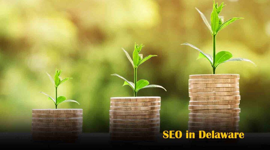 SEO in Delaware